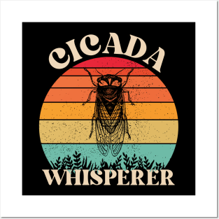 Cicada 2024 Posters and Art